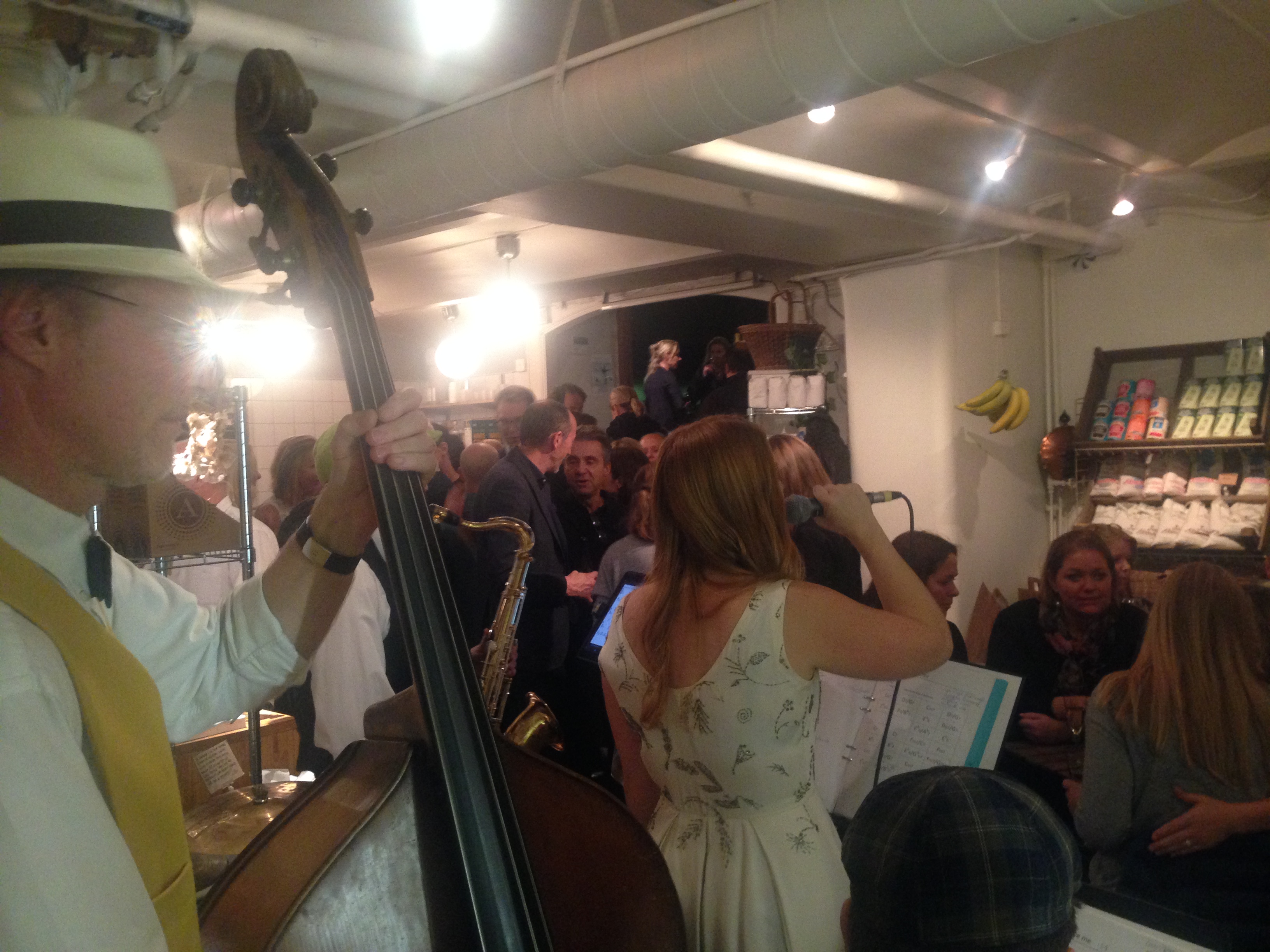 Bröderna Svedman oktober 2015